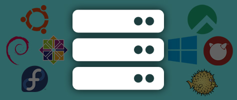 Unmanaged VPS Hosting